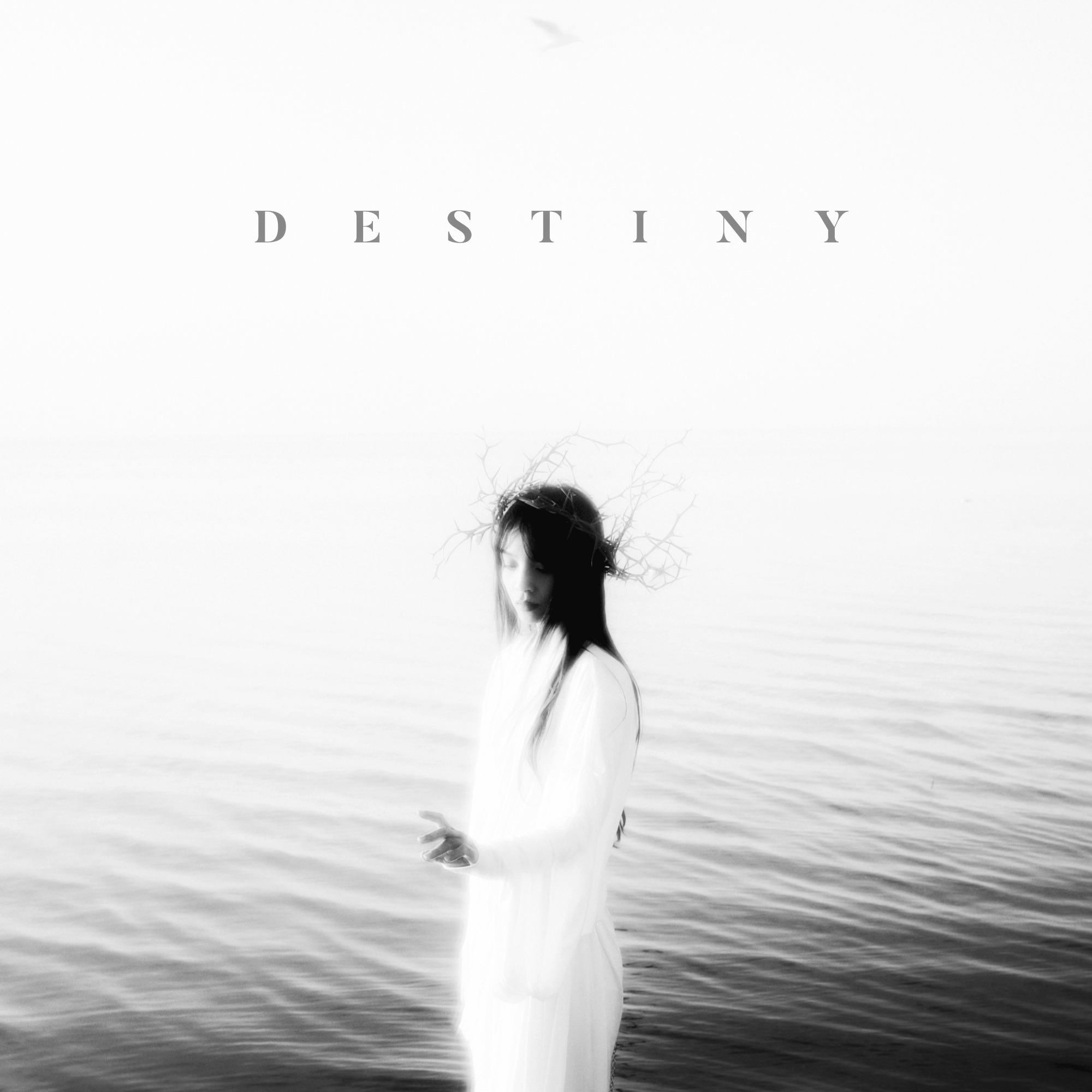 Destiny album art