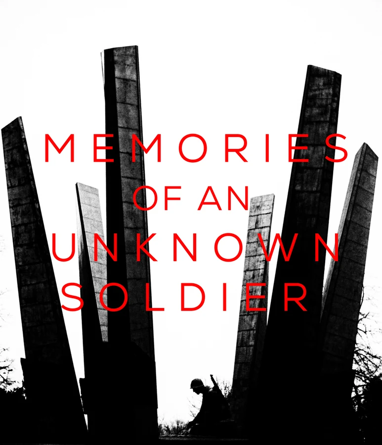 Memories of an Unknown Soldier artwork 2